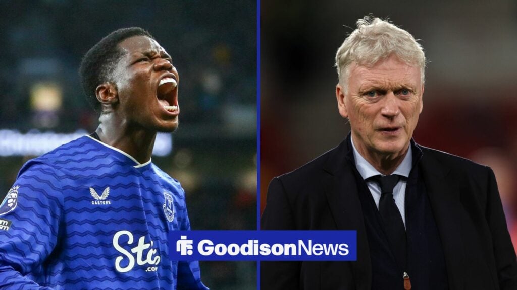 View: 8/10 makes his mark as 4/10 Moyes gamble fails - Everton player ratings vs Leeds