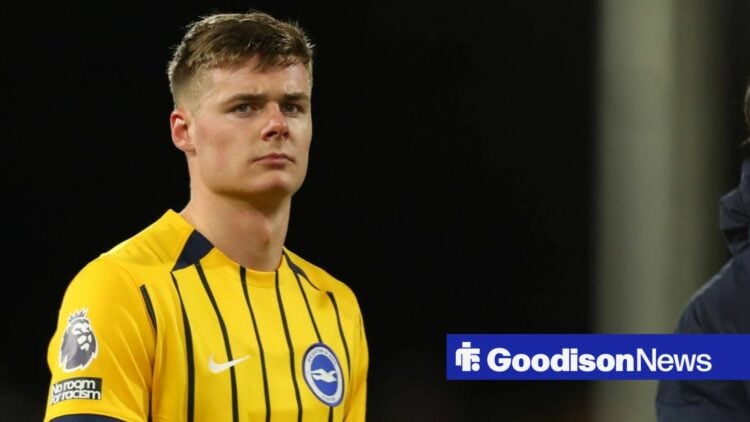 Evan Ferguson playing for Brighton