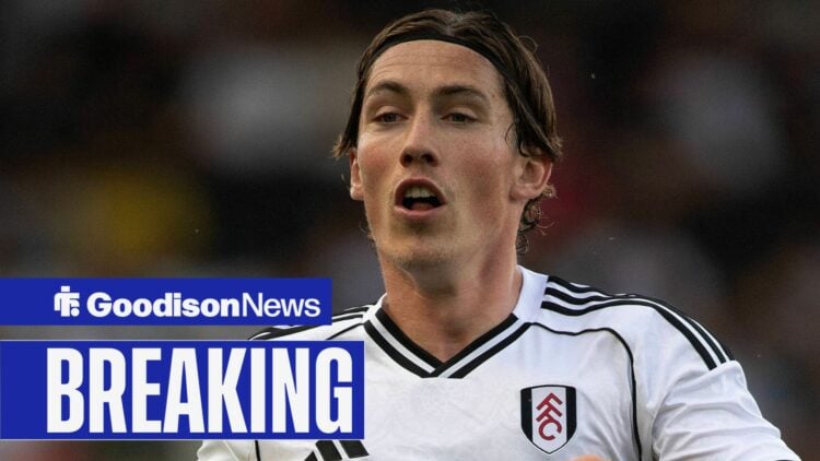 Harry Wilson playing for Fulham