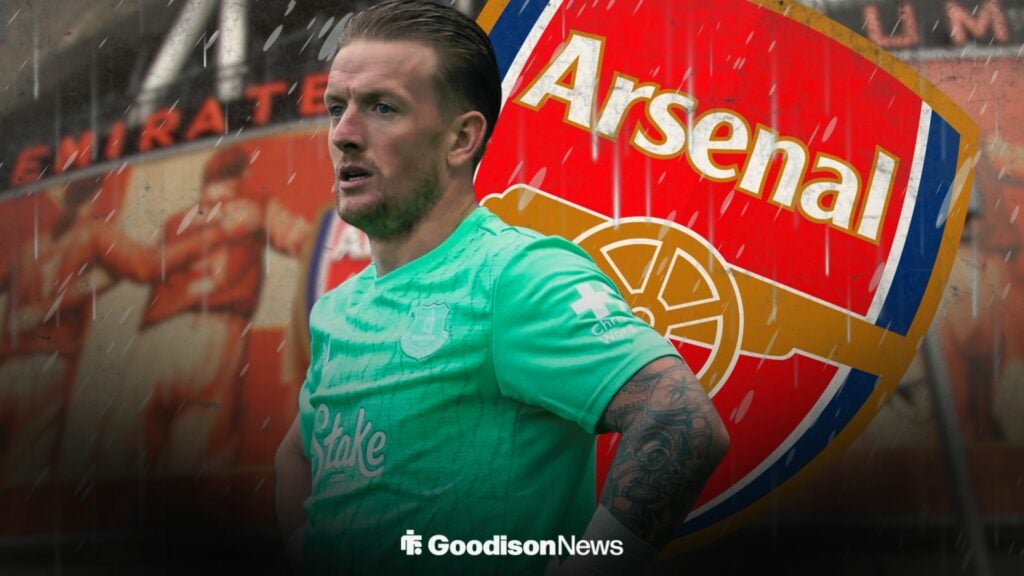 View: 34% Everton star let Moyes down despite 'incredible' moment vs Arsenal