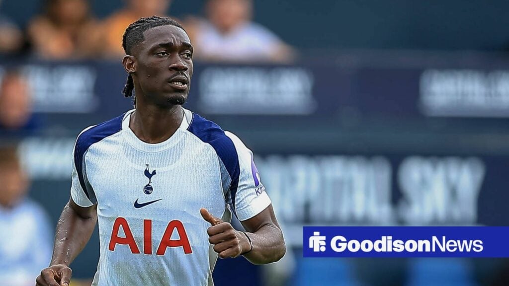 View: Everton could be months away from swoop for out-of-contract star threatened by relegation