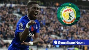 8th November 2025 Hill Dickinson Stadium, Liverpool, England Premier League Football, Everton versus Fulham Idrissa Gana Gueye of Everton celebrates after scoring for 1-0 after 4 minutes of added time at the end of the first half with Senegal crest in circular inset