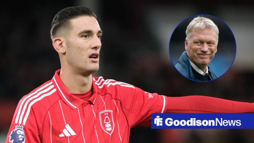 View: Everton vindicated after not signing one-goal PL flop journalist claims 'no one could stand'