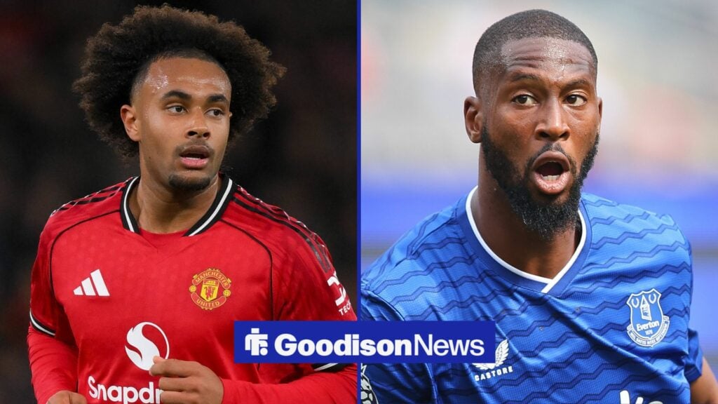 View: Premier League striker wouldn't provide Everton with a Beto upgrade