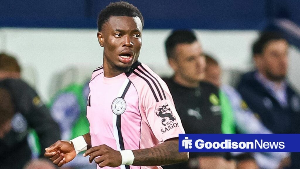 View: Moyes and Everton scouts well justified in wanting to sign Championship star