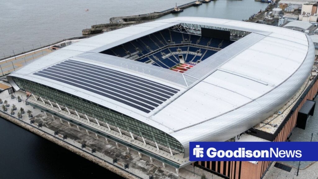 View: Everton's move to Hill Dickinson a major success as club record to be smashed