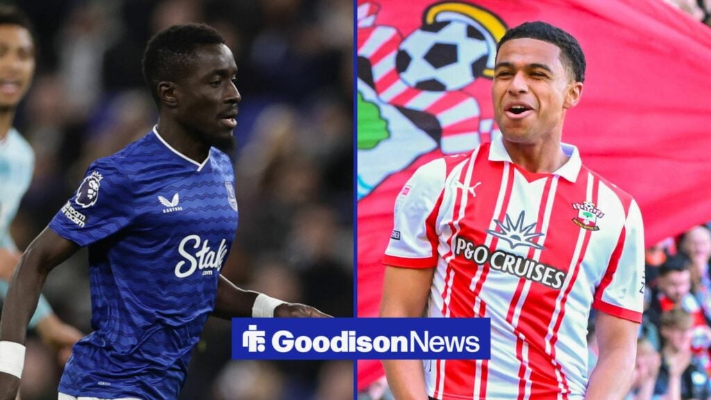 View: Everton have perfect Idrissa Gueye replacement as 89% Southampton FA Cup hero eyed