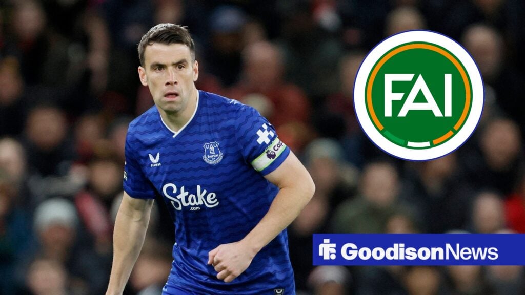 'Keep him in Green' - Out-of-contract Everton star backed for new role with national team