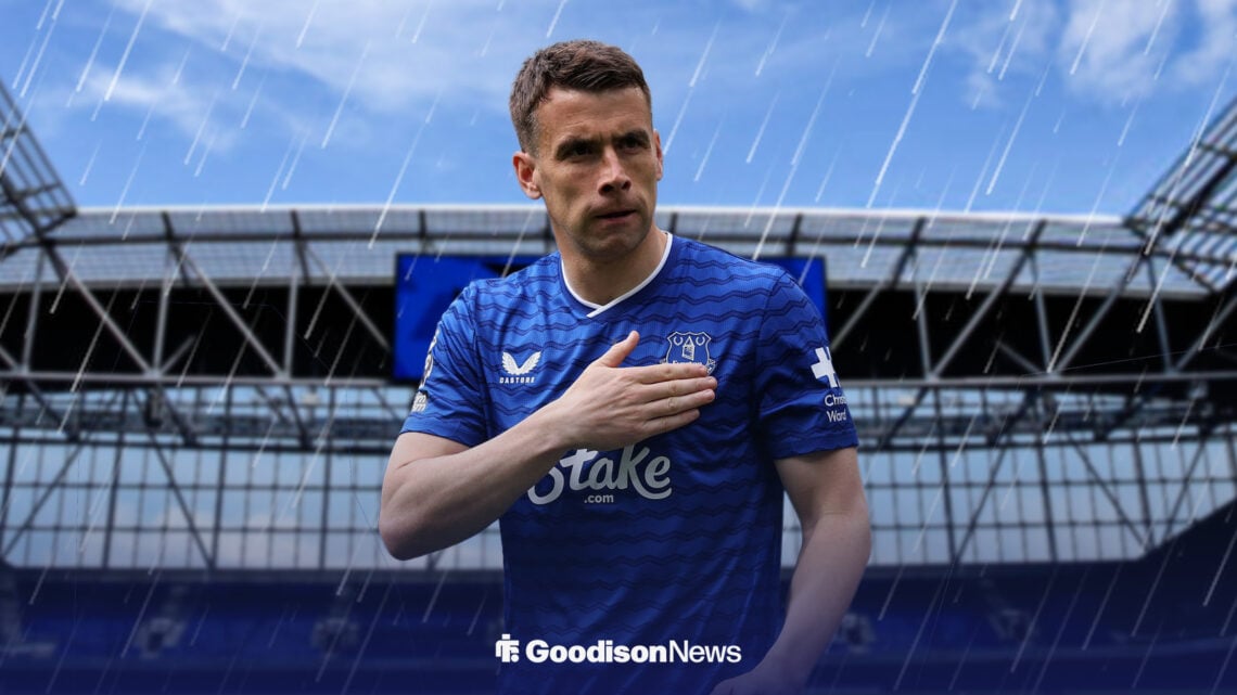 Everton's Seamus Coleman in front of Hill Dickinson Stadium with rain effect in the background
